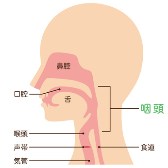 咽頭がん