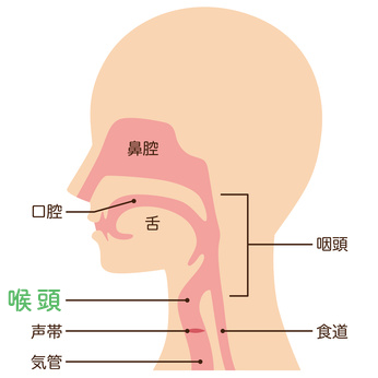 喉頭がん