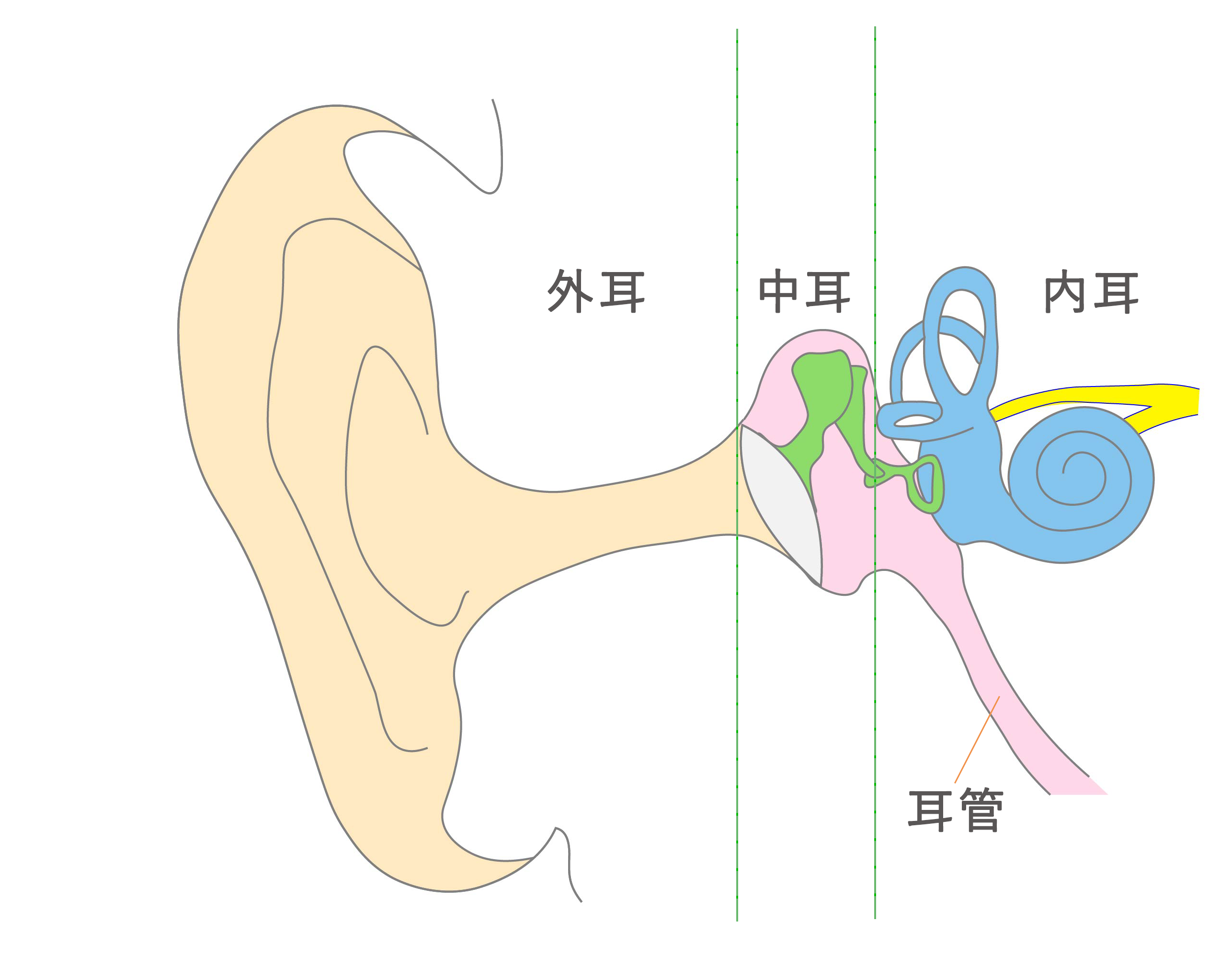 中耳炎